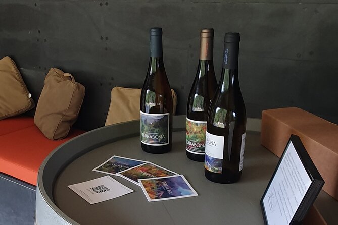 Wine Tasting Experience in Boaventura, Madeira North Coast - Visiting the Vineyards and Boutique Winery