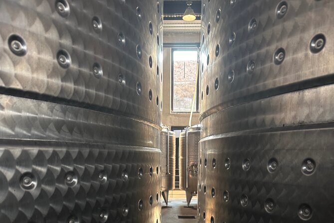 Wine Tasting experience in San Miguel de Allende - What Makes This Tour Stand Out?