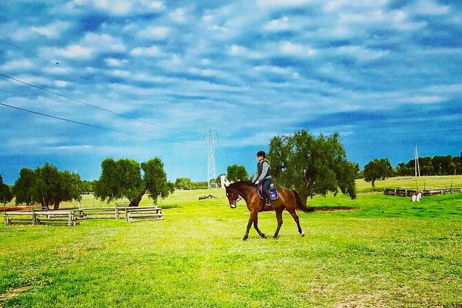 Wine tasting experience in the Apulian countryside - Meeting the Winemaker and Learning About Local History