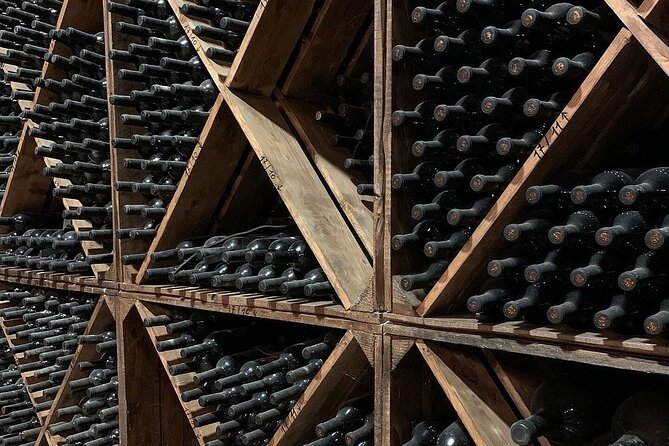 Wine tasting experience in the Apulian countryside - The Experience at the Winery Grounds and Tasting Room