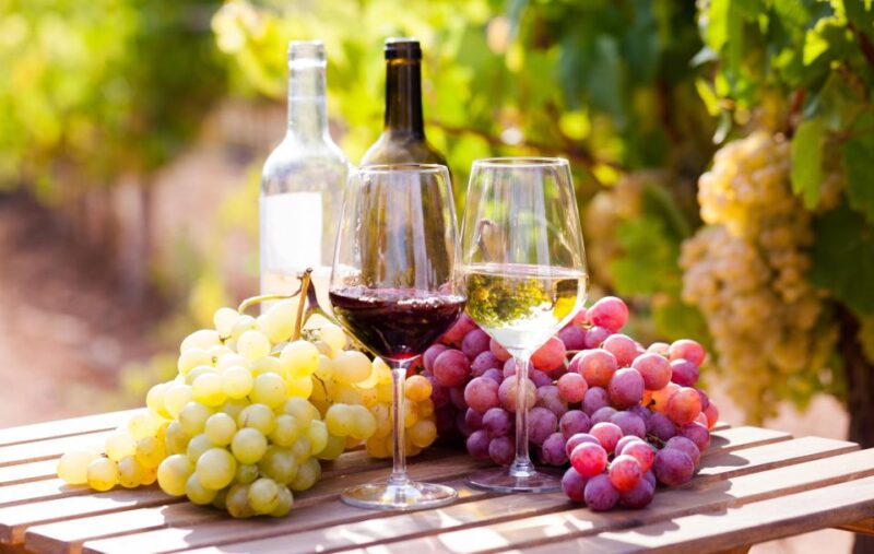 Wine Tasting Experience In The Vesuvius Wineries - Tasting 4 Typical Wines with Expert Guidance