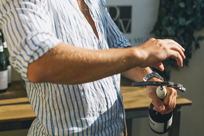 Wine Tasting Experience with a Professional Sommelier in Valencia City Center - Key Points