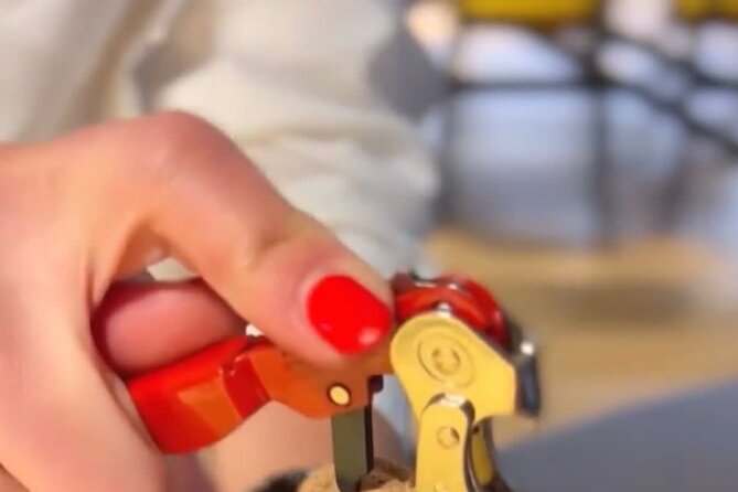 Wine Tasting Feel the Difference of Qvevri or Classical Wine - Practical Details and Booking