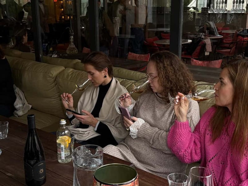 Wine Tasting feel the Difference of Qvevri or Classical Wine - Discover the Unique Wine Tasting Experience in Tbilisi