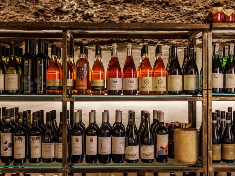Wine Tasting & Food Pairing in Underground Cellar in Rome - Key Points