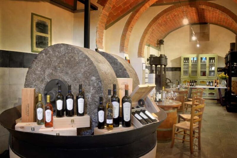 Wine tasting in a romantic castle with archaeologist guide - Logistics and Accessibility