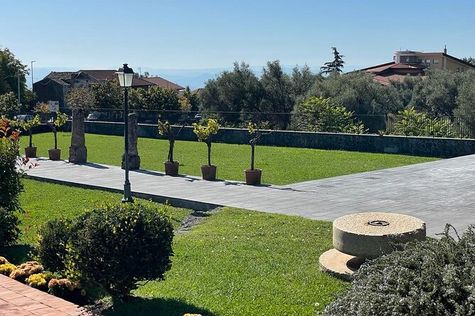 Wine Tasting in an Old Millstone - The Four Etna Wines: A Sensory Journey