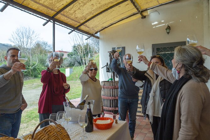 Wine Tasting in Campi Flegrei from Naples - The Guide and Family Atmosphere