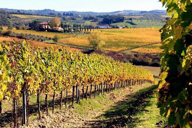 Wine tasting in Chianti, visiting Castellina, in Tuscany from Rome - Explore the Heart of Tuscany with a Private Chianti Wine Tour from Rome