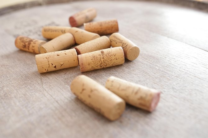 Wine Tasting in Heart of Sofia - Authentic Bulgarian Wines in a Cozy Setting