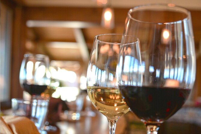 Wine Tasting in Historic Open-Lounge room - The Experience of Wine Tasting at Tenuta Torciano