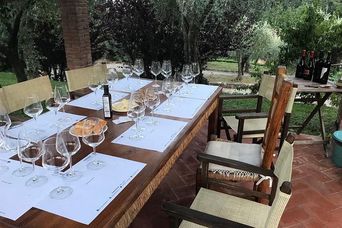 Wine tasting in Lucca "at home" with expert sommelier - 5 wines - Food Pairings: Local Bread, Cheese, and Oil