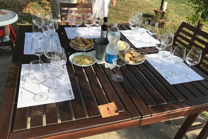 Wine tasting in Lucca "at home" with expert sommelier - 5 wines - The Unique Experience of Tasting at Your Home or Hotel