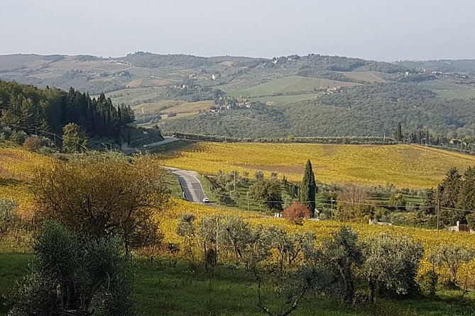 Wine tasting in Montepulciano and visit to Pienza, in Tuscany from Rome - The Experience and Guide Style