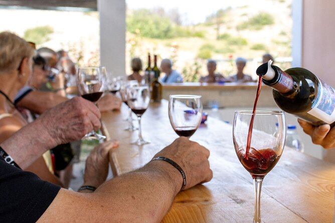 Wine tasting in Rhodes, inside the vineyards with the Producer - Key Points