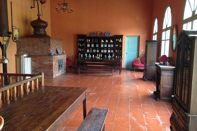 Wine tasting in Rhodes, inside the vineyards with the Producer - Weather and Cancellation Policies