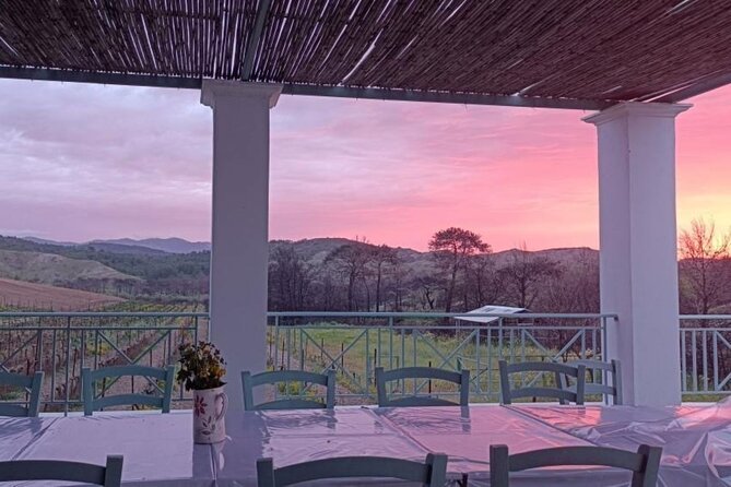 Wine tasting in Rhodes, inside the vineyards with the Producer - Who Will Enjoy This Tour the Most?