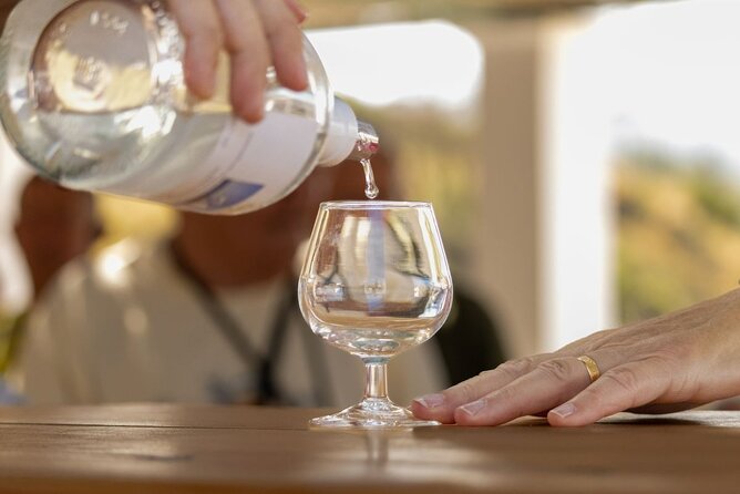 Wine tasting in Rhodes, inside the vineyards with the Producer - The Sum Up: A Genuine Taste of Rhodes’ Wine Heritage