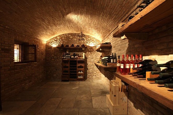 Wine tasting in Roman Countryside: 3-hour tour from Rome - Food and Snacks: Simple but Delicious