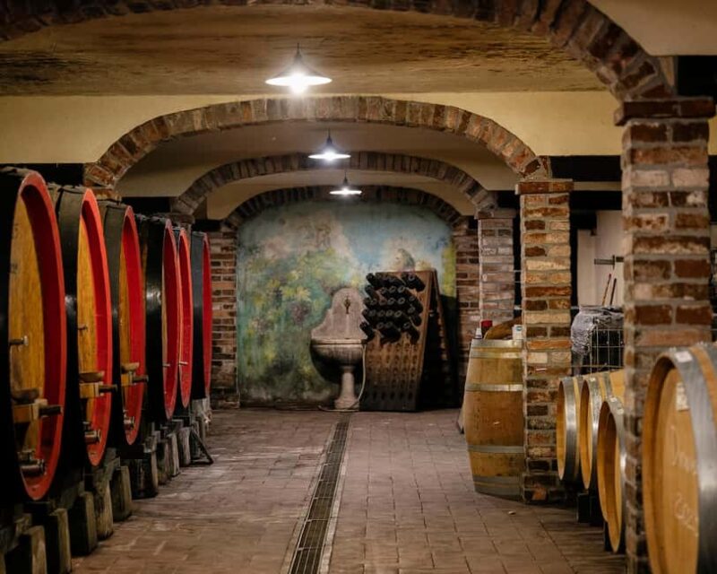 Wine tasting in the cellar - Key Points