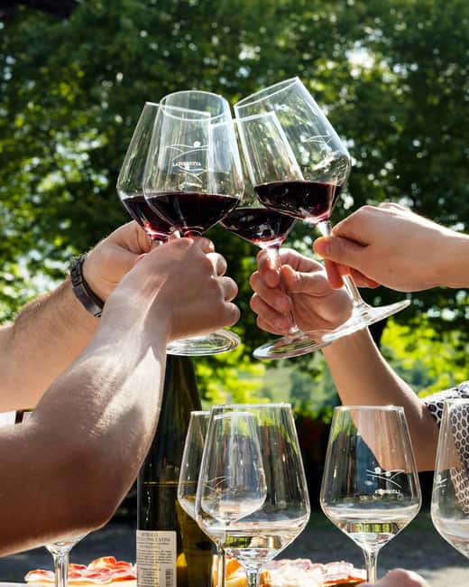 Wine tasting in the cellar - Tasting and Pairing Local Products