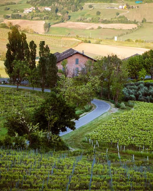 Wine tasting in the cellar - Who Would Enjoy This Experience Most