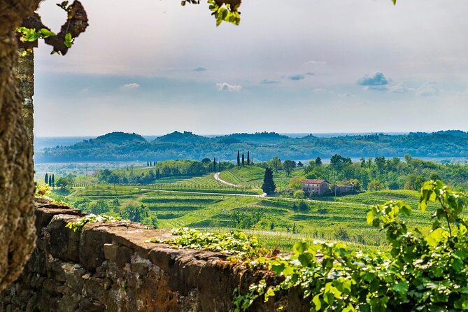 Wine tasting in the Collio wine area, guided tour of Cividale. - Key Points