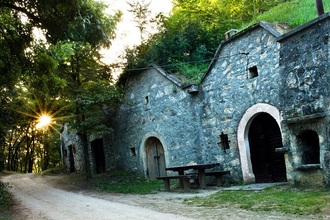 Wine Tasting in the Countryside from Budapest - Exploring Several Wineries with Your Guide