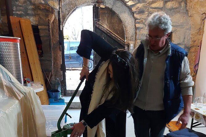 Wine Tasting in the Countryside from Budapest - Unique Features of the Wine Cellar Village