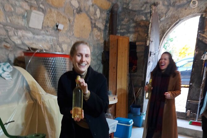 Wine Tasting in the Countryside from Budapest - The Experience of the Guide: Miklós Csizmadia