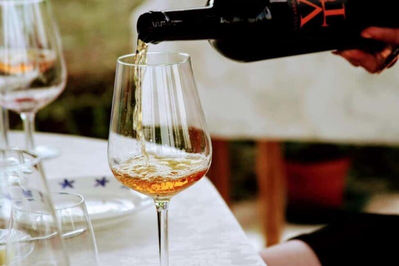 Wine tasting in the family cellar - Discover the Charm of Veneto’s Family Winery for Wine Tasting