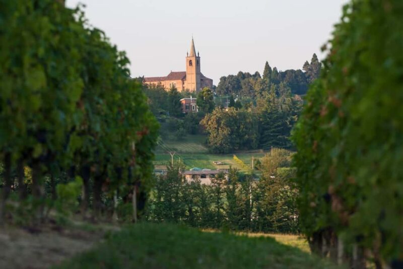 Wine Tasting in the Heart of Monferrato - Discovering Grignolino - Key Points