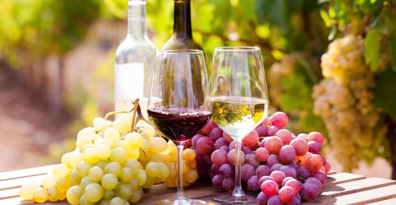 Wine tasting in the Vesuvius National Park - Discover the Vineyards at the Foot of Mount Vesuvius