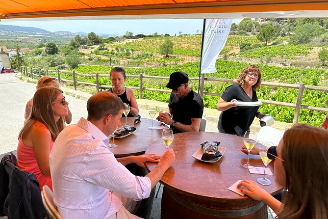 Wine Tasting in Three Boutique Wineries Tour - Max 8 people - A Traditional Spanish Lunch in the Vineyards