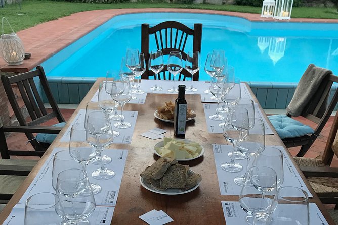 Wine tasting in Versilia with sommelier - 5 wines and local products - Lucca’s Expert Guide: Simone Vergamini