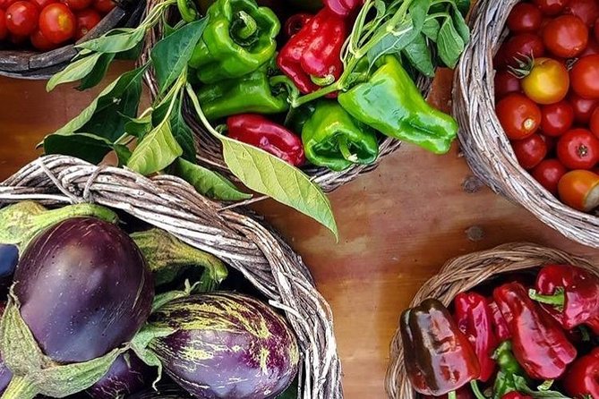 Wine tasting in Vieste - Practical Details: Logistics and Group Size