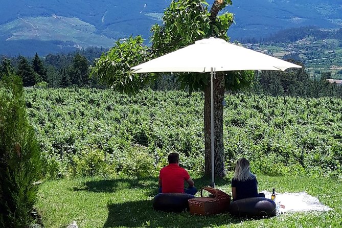 Wine Tasting & Lunch from Porto | Quinta de Santa Cristina - Key Points