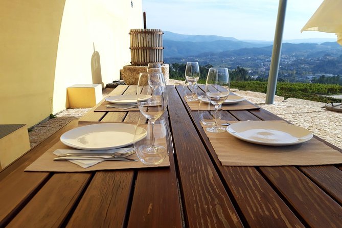 Wine Tasting & Lunch from Porto | Quinta de Santa Cristina - Guided Tour of the Vineyards in Vinho Verde
