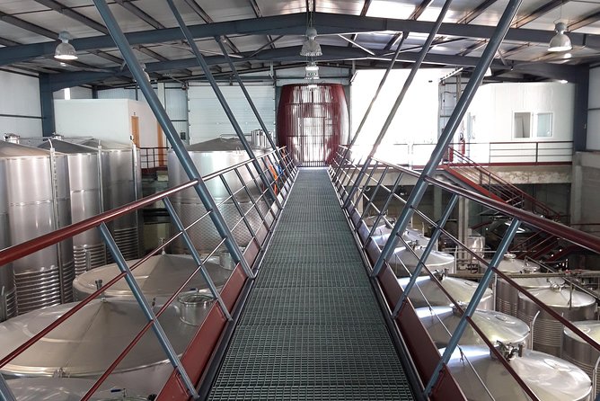 Wine Tasting & Lunch from Porto | Quinta de Santa Cristina - Tasting Three Wines Paired with Regional Products