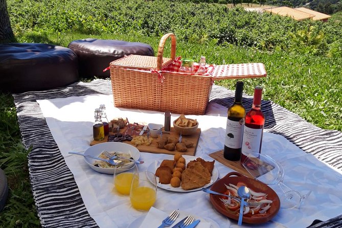 Wine Tasting & Lunch from Porto | Quinta de Santa Cristina - Why This Tour Stands Out in Portos Wine Scene