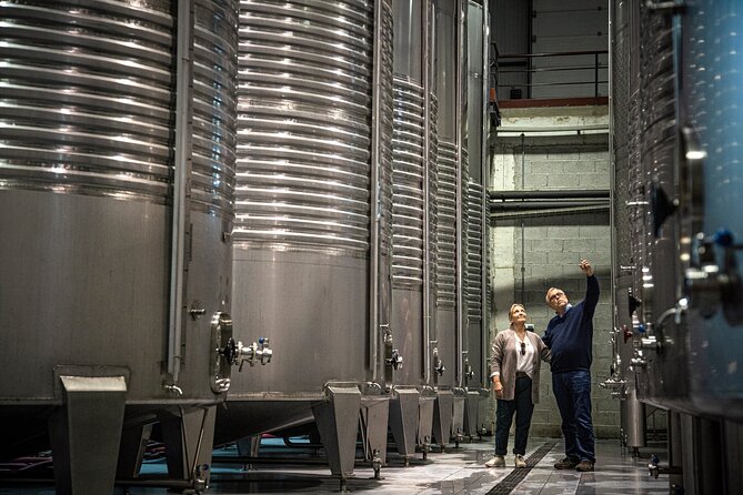 Wine Tasting & Lunch | Quinta de Santa Cristina Vinho Verde - Discovering the Winemaking Process at Quinta de Santa Cristina