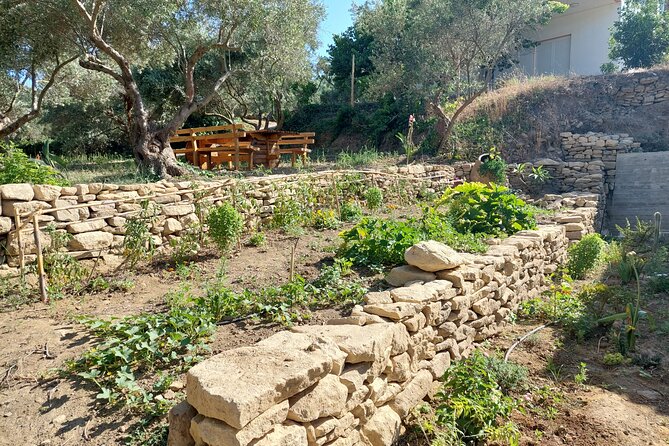 Wine Tasting: Meet the Cretan Vineyard at West Chania - Why This Tour Stands Out in Crete’s Wine Scene