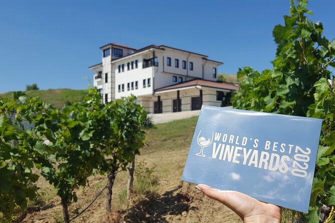 Wine Tasting & More in Villa Melnik  One of the Worlds Best Wineries - Key Points