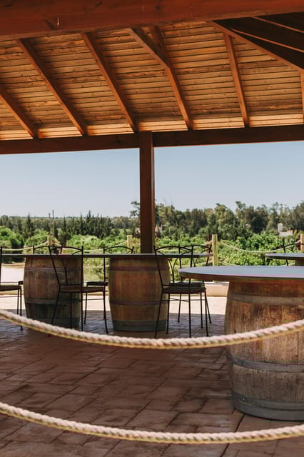 Wine Tasting Off-Road Tour - The Taste of Algarve: Wine Tasting and Tapas