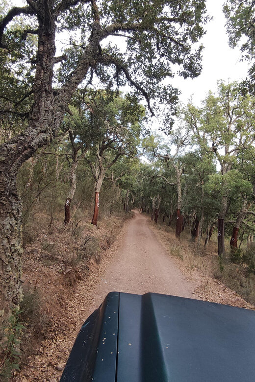 Wine Tasting Off-Road Tour - Guides and Language Support