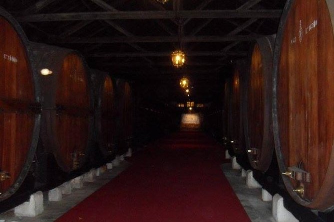 Wine Tasting - Private Half-Day Tour - Personalized Experience with a Private Guide