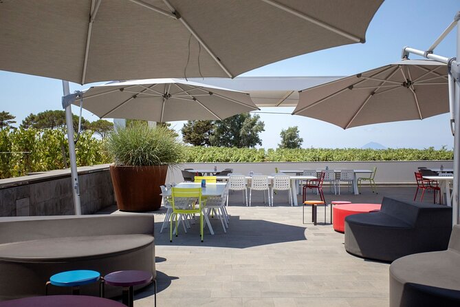 Wine tasting THE CLASSICS - Starting Point and Check-In Details at Tenuta di Castellaro