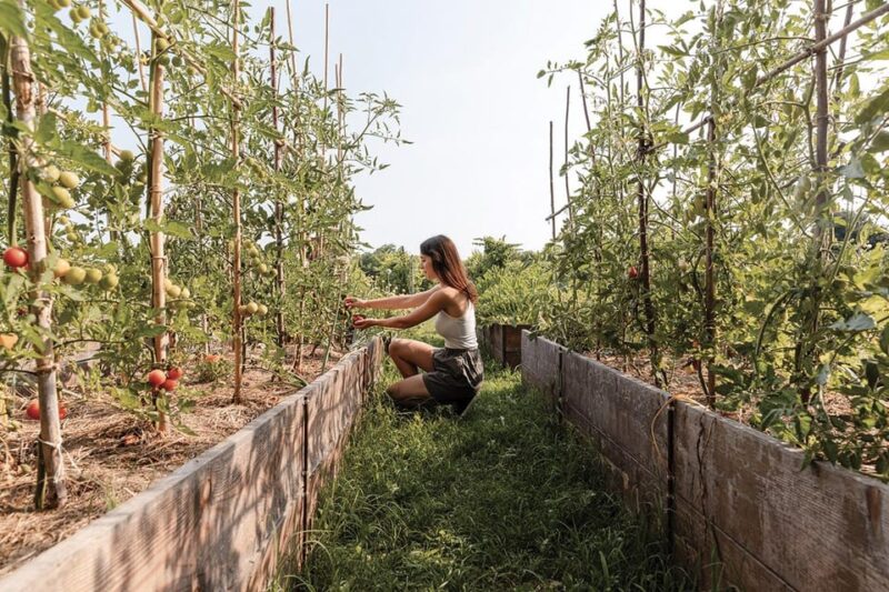 Wine Tasting: the flavors of the Prosecco Hills - Discover the Authentic Prosecco Hills with Cal Mondas Guided Tour