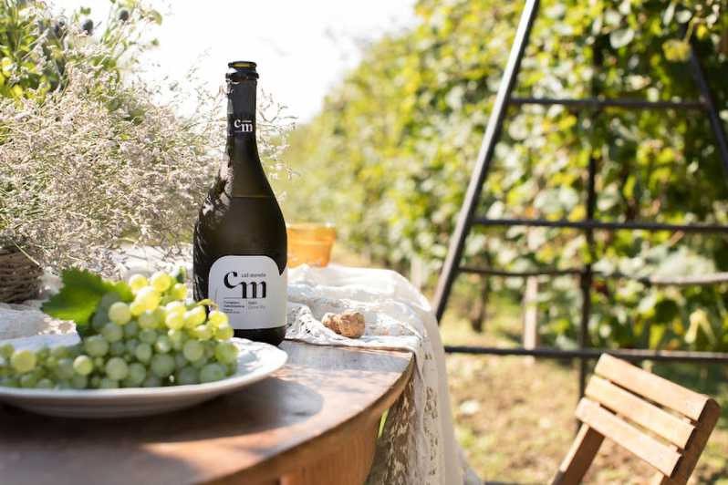 Wine Tasting: the flavors of the Prosecco Hills - Key Points