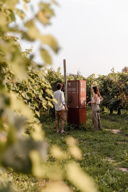 Wine Tasting: the flavors of the Prosecco Hills - Practical Details and Booking Flexibility